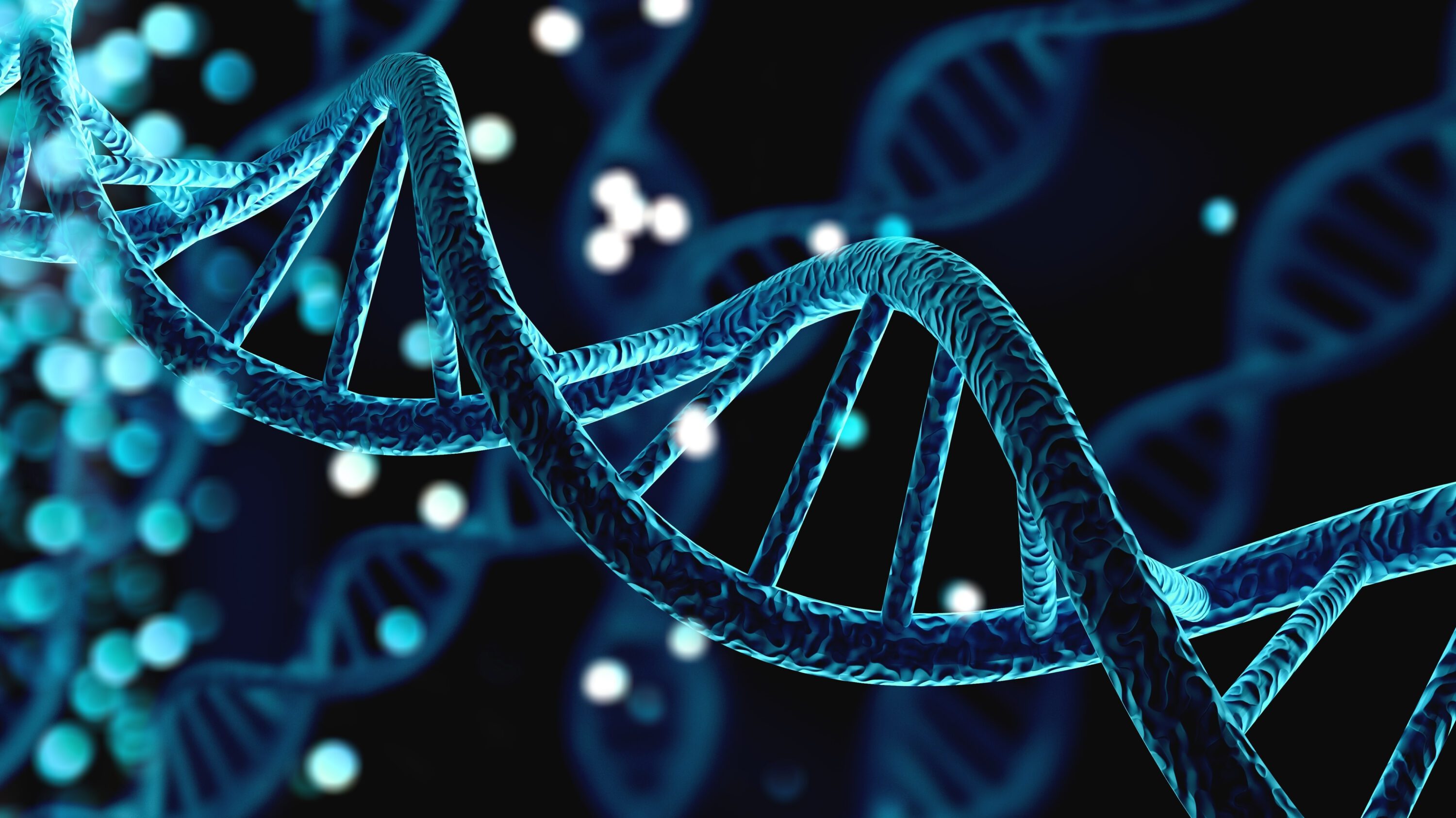 Human DNA